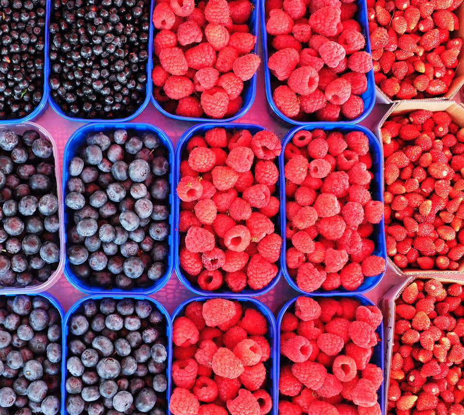 Brain Foods - Dr. Michelle Jackson Naturopathic Physician